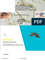 Epidemiologia Dengue Apresentação