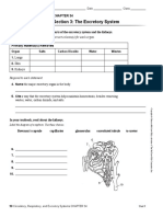 34 - 3 Study Guide Excretory System