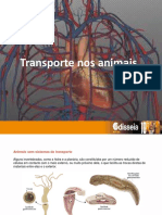 3- Transporte Nos Animais