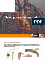 Transporte animais