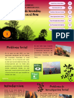 Infograf a de Investigaci n Prevenci n de Incendios Forestales en El Per Grupo Naranja.pdf