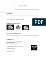 Ficha Ciencias 5 Ano Rochas