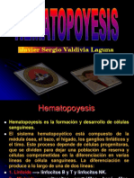 HEMATOPOYESIS