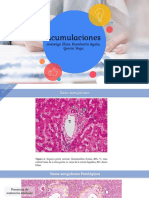 Acumulaciones en órganos: amiloidosis, necrosis caseosa y calcificación