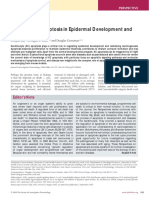 Keratinocyte Apoptosis in Epidermal Development and Disease: Editor's Note