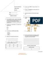 EVALUACInnNnFINALnCULTURAnFnnSICA 7461a004f6bca1f