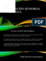 Evaluación Sensorial y Objetiva (Autoguardado)