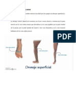 Anatomía sistema venoso inferior