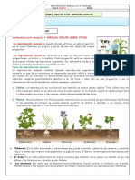 Ciencias Naturales 5° - Guia 08