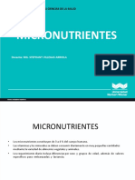 CLASE_004_-MICRONUTRIENTES.