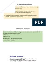 metabolismo intermediario PDF