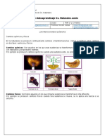 Ciencias 1NM Junio