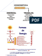 Bioenergã©tica Celular PDF