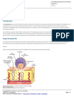 CAPÍTULO 9 - Implantación