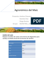 Manejo Agronómico Del Maíz