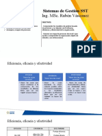 SST-02 Gestion Por Procesos