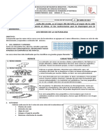 Ciencias Naturales 4 Coordinadora