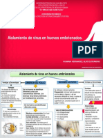 Practica Microbiologia Semana 12