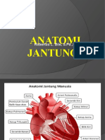 JANTUNG ANATOMI