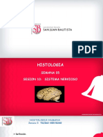 Histo1. Semana 5. Teoria. Sistema Nervioso I