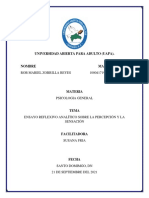 Ensayo Reflexivo Analítico Sobre La Percepción y La Sensación Rob 2021