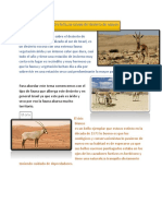 Articulo de Opinion Sobre Los Animales Del Desierto de Neguev
