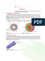 Bio10 Bentuk Virus