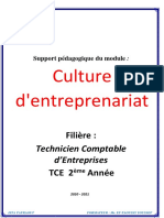 cours culture entreprenariat TCE