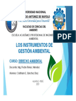 Instrumentos de La Gestion Ambiental