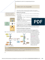 Protein Structure