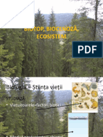 Biotop, biocenoză, Ecosistem