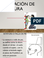 Estimación de estatura a partir de medidas óseas