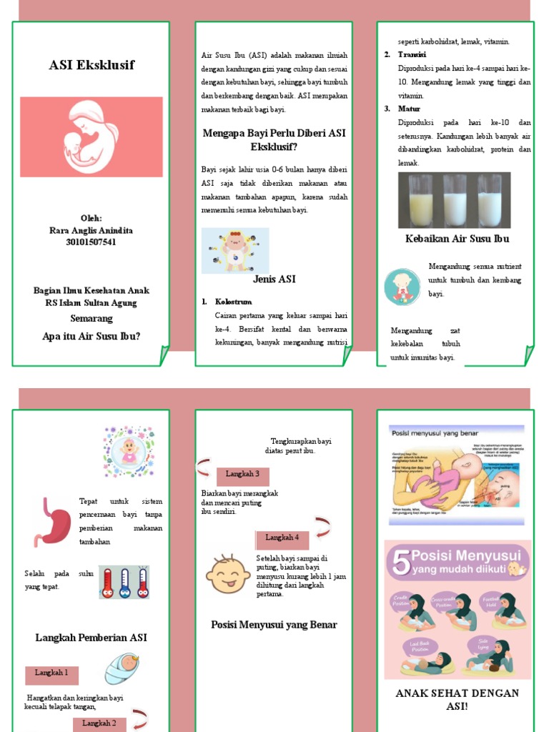 Leaflet ASI | PDF