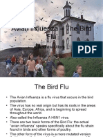 Avian Influenza - The Bird