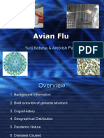 Avian Flu