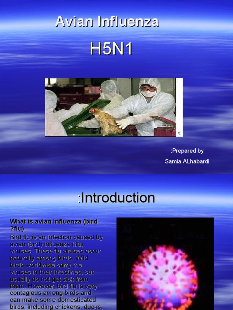 Understanding Avian Influenza H5N1 | PDF | Influenza | Influenza A Virus