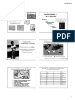 Aula Ancilostomiase-Larva Migrans para Enfermagem 2016