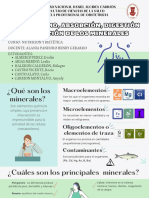 Metabolismo, Absorción, Digestión y Excreción de Los Minerales