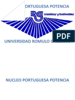 Universidad Romulo Gallegos