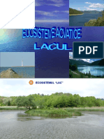 Ecosistem Acvatic-Lacul