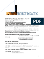 7 Proiect Didactic 2