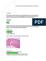 Cuestionario de Histologia ERA3