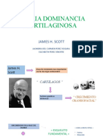 Teoria Dominancia Cartilaginosa