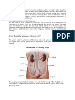 Elsci Pt-Script-Final