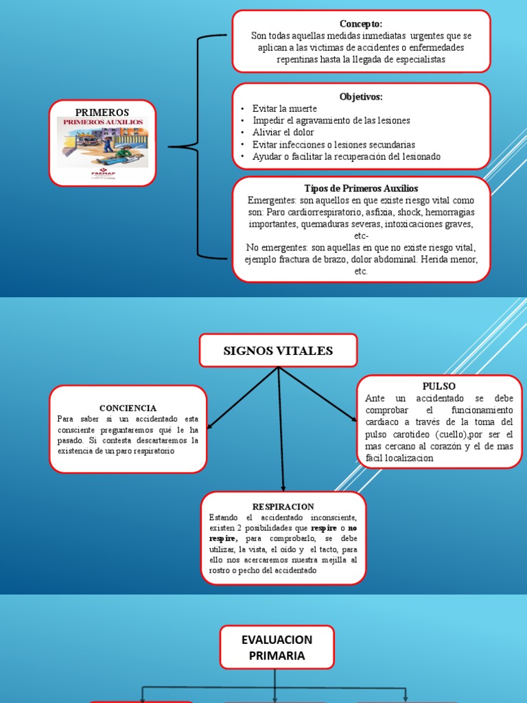 Primeros Auxilios: Guía Esencial y Tipos | PDF | Primeros auxilios ...