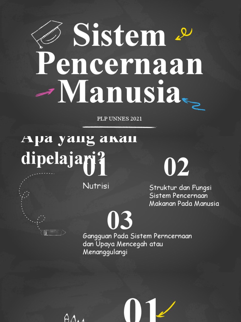 Sistem Pencernaan Manusia | PDF