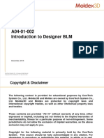 A04-01-002 Introduction To DesignerBLM