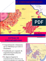 Sistema de Endomembranas