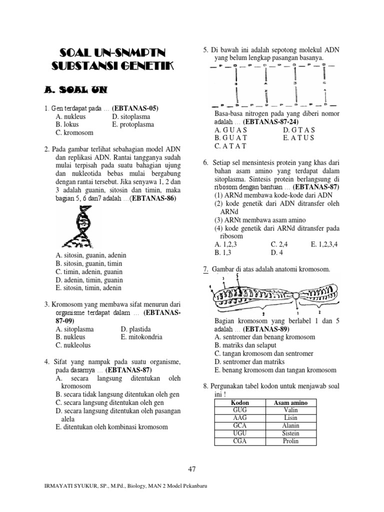 Soal Genetika dan Sintesis Protein | PDF