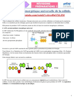 ATP nommaie universelle